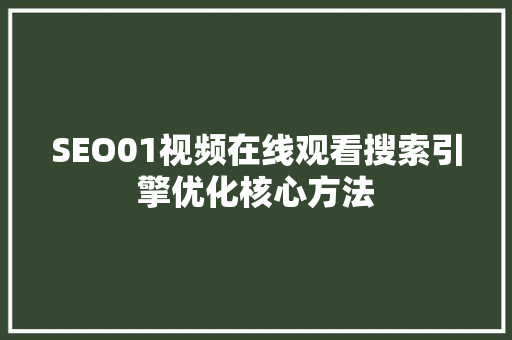 SEO01视频在线观看搜索引擎优化核心方法