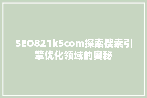 SEO821k5com探索搜索引擎优化领域的奥秘