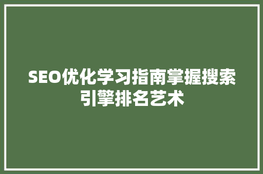 SEO优化学习指南掌握搜索引擎排名艺术