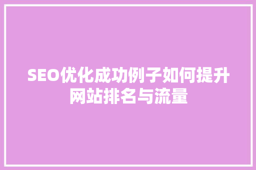 SEO优化成功例子如何提升网站排名与流量