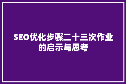 SEO优化步骤二十三次作业的启示与思考