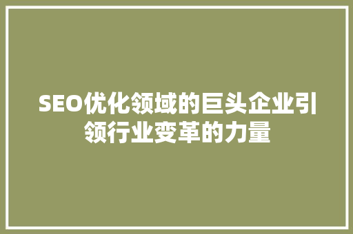SEO优化领域的巨头企业引领行业变革的力量