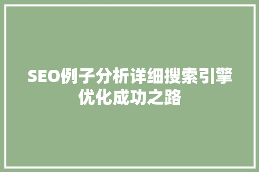 SEO例子分析详细搜索引擎优化成功之路