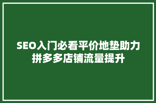 SEO入门必看平价地垫助力拼多多店铺流量提升