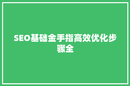 SEO基础金手指高效优化步骤全