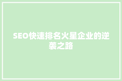 SEO快速排名火星企业的逆袭之路