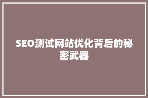 SEO测试网站优化背后的秘密武器