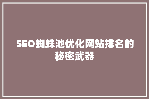 SEO蜘蛛池优化网站排名的秘密武器