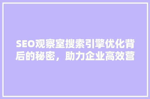 SEO观察室搜索引擎优化背后的秘密，助力企业高效营销