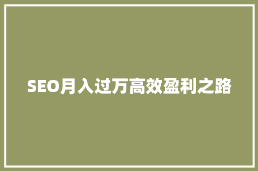 SEO月入过万高效盈利之路