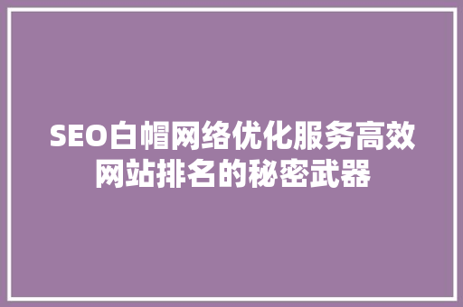 SEO白帽网络优化服务高效网站排名的秘密武器