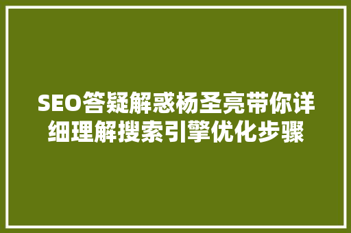 SEO答疑解惑杨圣亮带你详细理解搜索引擎优化步骤