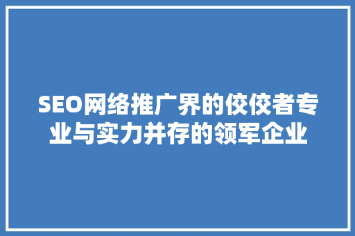SEO网络推广界的佼佼者专业与实力并存的领军企业