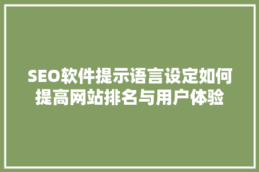 SEO软件提示语言设定如何提高网站排名与用户体验