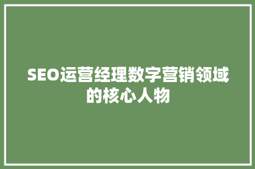 SEO运营经理数字营销领域的核心人物
