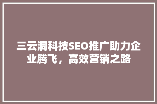 三云洞科技SEO推广助力企业腾飞，高效营销之路