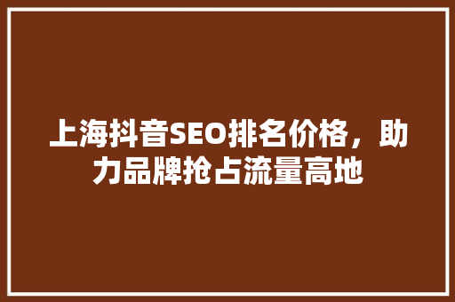 上海抖音SEO排名价格，助力品牌抢占流量高地