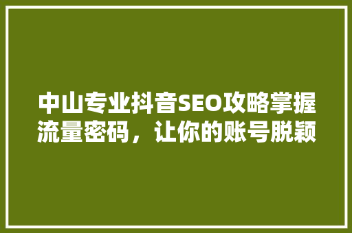 中山专业抖音SEO攻略掌握流量密码，让你的账号脱颖而出