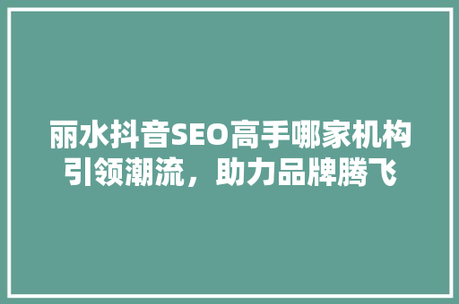 丽水抖音SEO高手哪家机构引领潮流，助力品牌腾飞