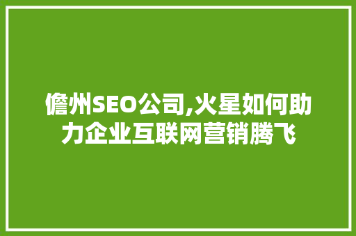 儋州SEO公司,火星如何助力企业互联网营销腾飞