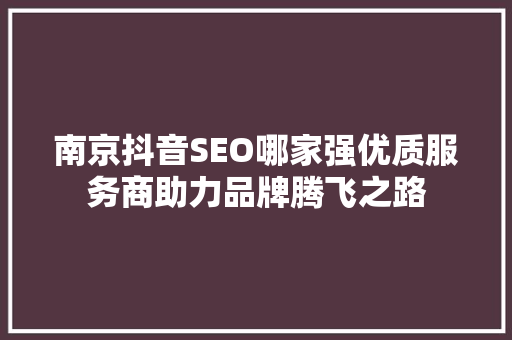 南京抖音SEO哪家强优质服务商助力品牌腾飞之路
