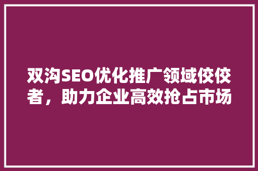 双沟SEO优化推广领域佼佼者，助力企业高效抢占市场先机