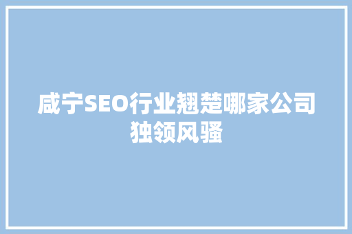 咸宁SEO行业翘楚哪家公司独领风骚