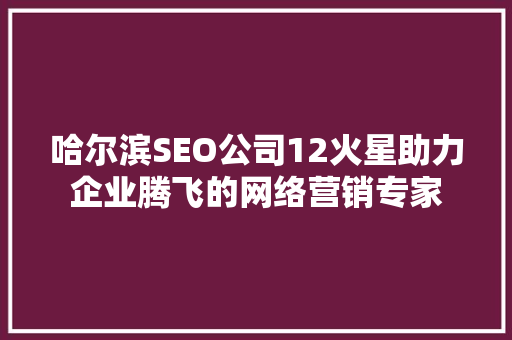 哈尔滨SEO公司12火星助力企业腾飞的网络营销专家