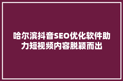 哈尔滨抖音SEO优化软件助力短视频内容脱颖而出