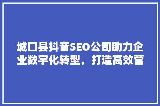 城口县抖音SEO公司助力企业数字化转型，打造高效营销新局面