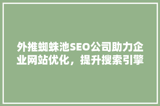 外推蜘蛛池SEO公司助力企业网站优化，提升搜索引擎排名