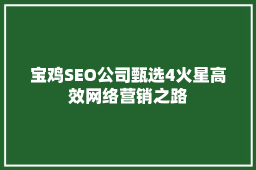 宝鸡SEO公司甄选4火星高效网络营销之路