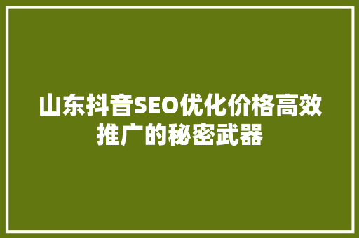 山东抖音SEO优化价格高效推广的秘密武器