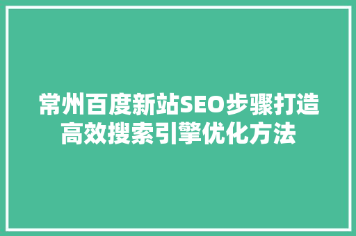 常州百度新站SEO步骤打造高效搜索引擎优化方法