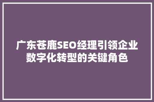 广东苍鹿SEO经理引领企业数字化转型的关键角色