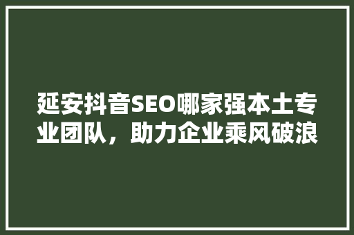 延安抖音SEO哪家强本土专业团队，助力企业乘风破浪
