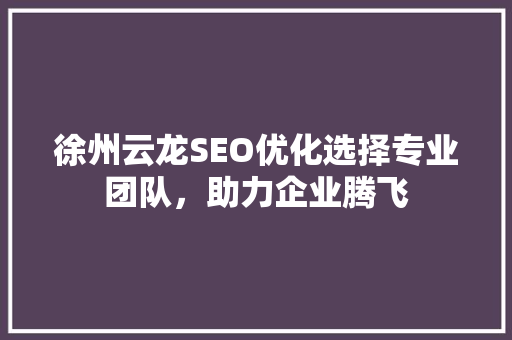 徐州云龙SEO优化选择专业团队，助力企业腾飞