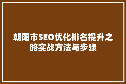 朝阳市SEO优化排名提升之路实战方法与步骤