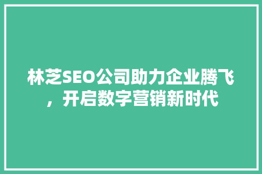 林芝SEO公司助力企业腾飞，开启数字营销新时代
