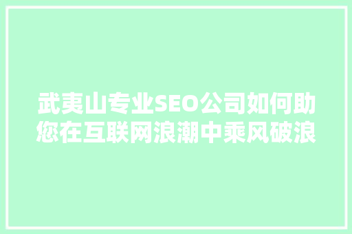 武夷山专业SEO公司如何助您在互联网浪潮中乘风破浪