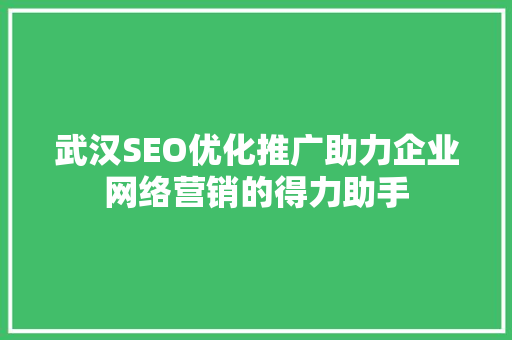 武汉SEO优化推广助力企业网络营销的得力助手