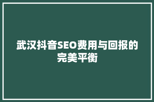武汉抖音SEO费用与回报的完美平衡