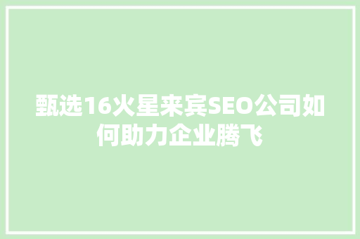 甄选16火星来宾SEO公司如何助力企业腾飞