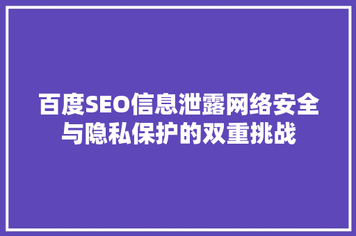 百度SEO信息泄露网络安全与隐私保护的双重挑战
