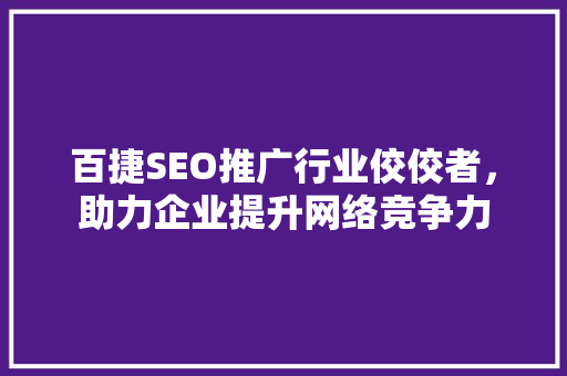 百捷SEO推广行业佼佼者，助力企业提升网络竞争力