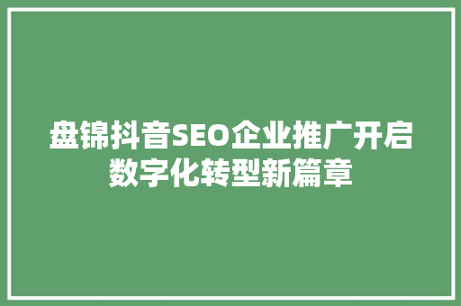 盘锦抖音SEO企业推广开启数字化转型新篇章