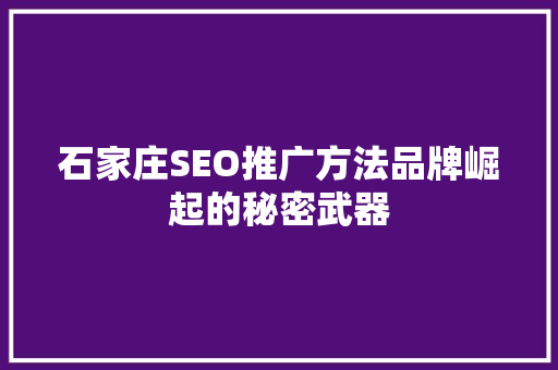 石家庄SEO推广方法品牌崛起的秘密武器