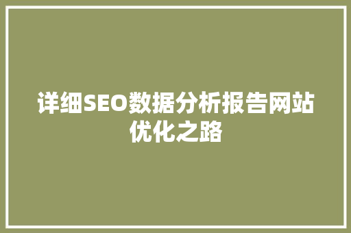 详细SEO数据分析报告网站优化之路