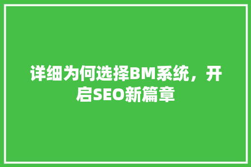 详细为何选择BM系统，开启SEO新篇章