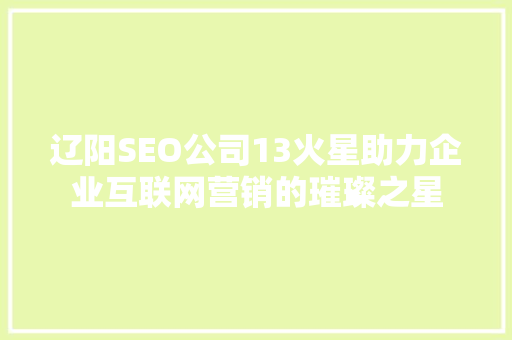 辽阳SEO公司13火星助力企业互联网营销的璀璨之星